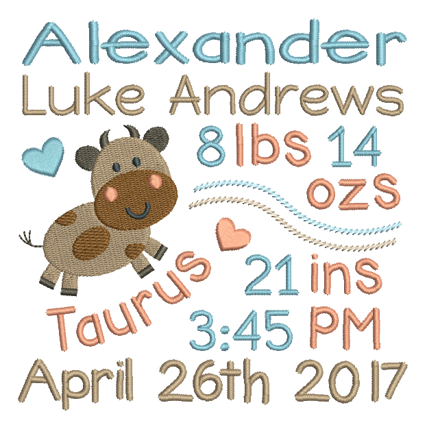 Baby Birth Announcement -Custom Embroidery Design by rosiedayembroidery.com
