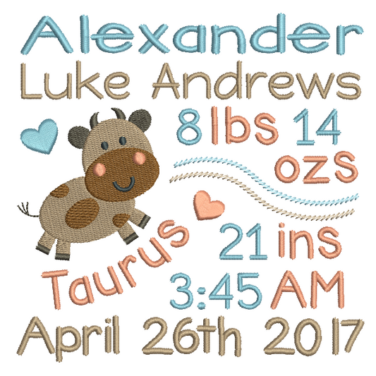 Baby Birth Announcement -Custom Embroidery Design by rosiedayembroidery.com